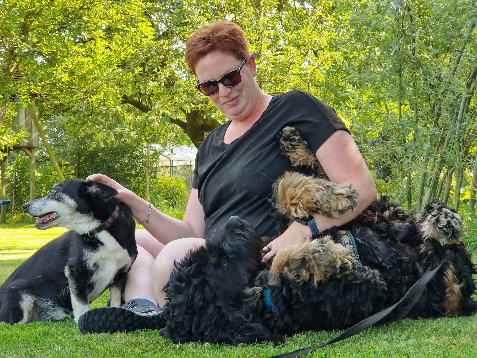 Afbeelding van WhatsApp op 2024-09-18 om 18.58.45_7c3bafcb